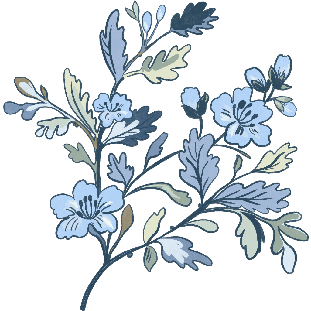 "Illustration showing embroidery digitizing process as a key part of a professional embroidery career"